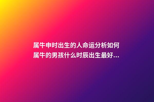 属牛申时出生的人命运分析如何 属牛的男孩什么时辰出生最好命 属牛的男孩什么时候出生好